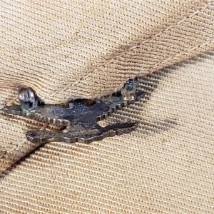navy-officers-bewlt-hat-helmick-id-hh-matchentified-pin-insignia-inside