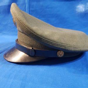 visor-cap-vietnam-blue-disk-enlisted-army
