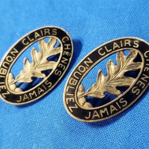 dui-6th-combat-bn-wwii-back-pin-meyer-matched-set-enamel