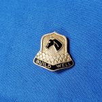 dui-cavalry-training-trng-center-dondero-pin-back
