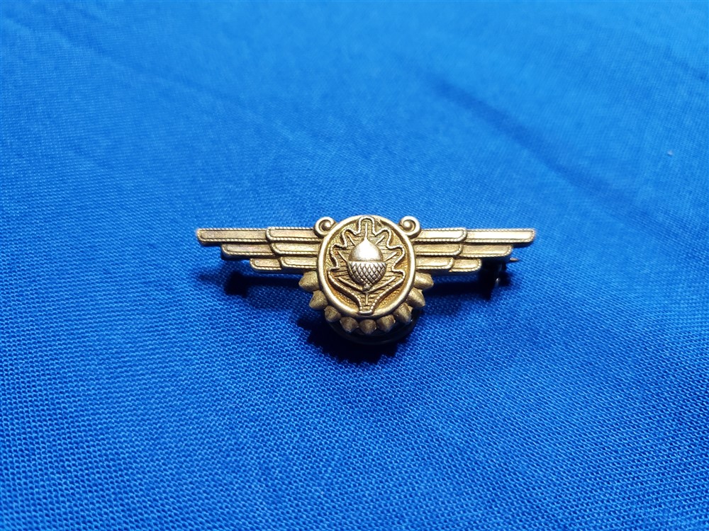 wings-wwii-navy-naval-flight-surgeon-gold-vanguard-back-pin
