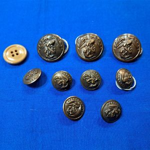 buttons-world-war-two-united-states-marine-officer-chocolate-brown-color-excellent-detail