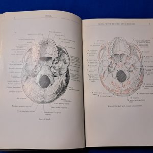 world-war-one-air-service-medical-manual-human-anatomy-dtailed-sketches-doctor-1918-dated-387-pages-scarce