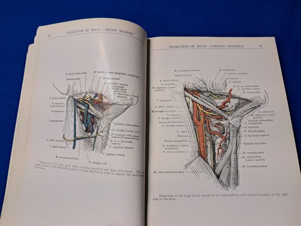 world-war-one-air-service-medical-manual-human-anatomy-dtailed-sketches-doctor-1918-dated-387-pages-scarce