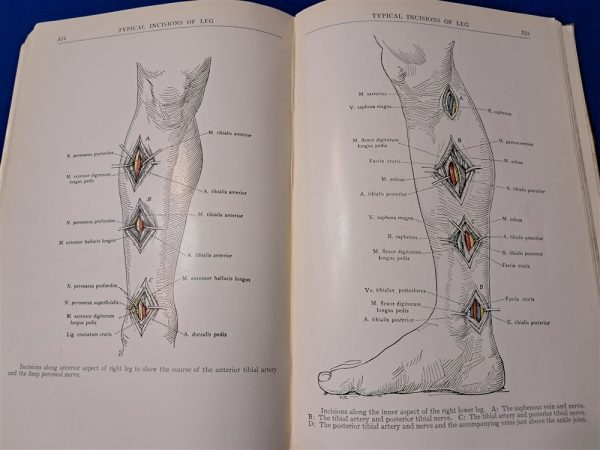 world-war-one-air-service-medical-manual-human-anatomy-dtailed-sketches-doctor-1918-dated-387-pages-scarce