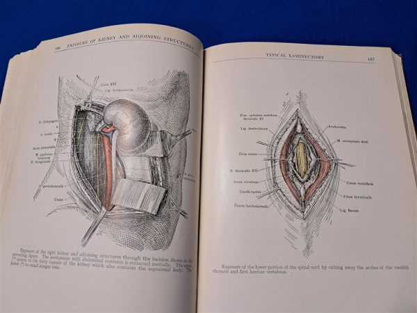 world-war-one-air-service-medical-manual-human-anatomy-dtailed-sketches-doctor-1918-dated-387-pages-scarce