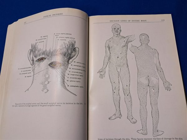 world-war-one-air-service-medical-manual-human-anatomy-dtailed-sketches-doctor-1918-dated-387-pages-scarce