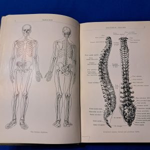 world-war-one-air-service-medical-manual-human-anatomy-dtailed-sketches-doctor-1918-dated-387-pages-scarce