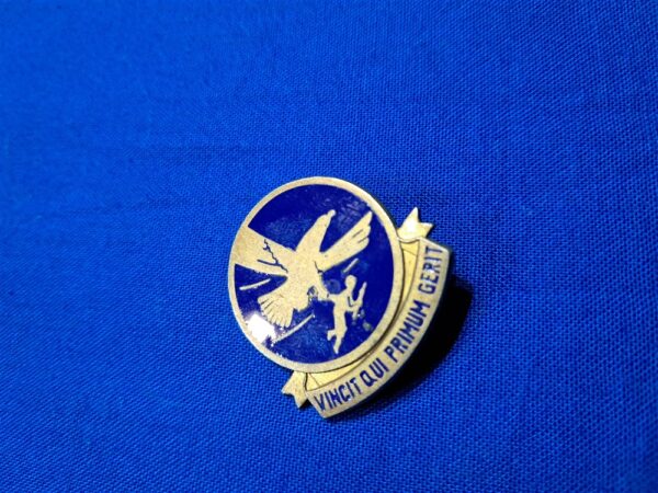 world-war-two-distinctive-unit-insignia-for-troop-carry-with-eagle-carrying-soldier-to-front-lines-sterling