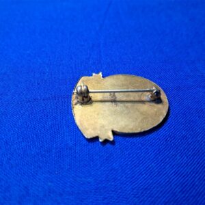 world-war-two-distinctive-unit-insignia-for-troop-carry-with-eagle-carrying-soldier-to-front-lines-sterling