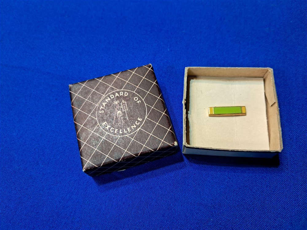 WAC Ribbon lapel pin - Doughboy Military Collectables Springfield Missouri