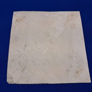 world-war-two-original-877-bombardment-squadron-patch-on-white-leather-screen-printed-from-scrapbook