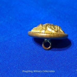civil-war-naval-confederate-uniform-officers-button-23-milimeter-size-large-90-percent-guilded-original-south-carolina-backmark