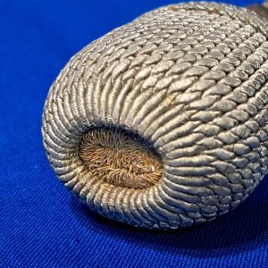 world-war-two-german-sword-portepee-bullion-ball-end-for-dress